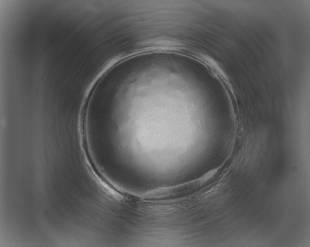X0000075341243200609081115