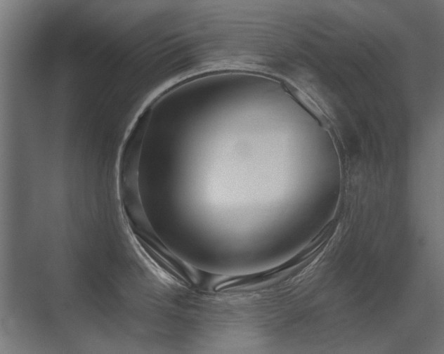 X0000075341246200609081115