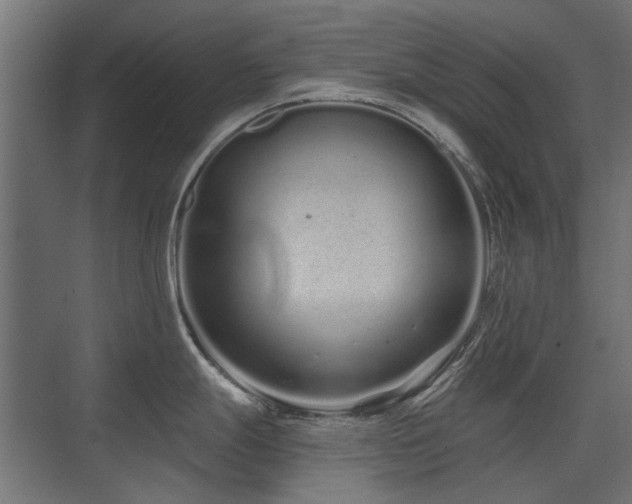 X0000075341247200609081115