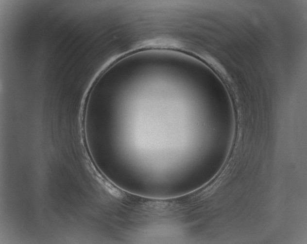 X0000075341248200609081115