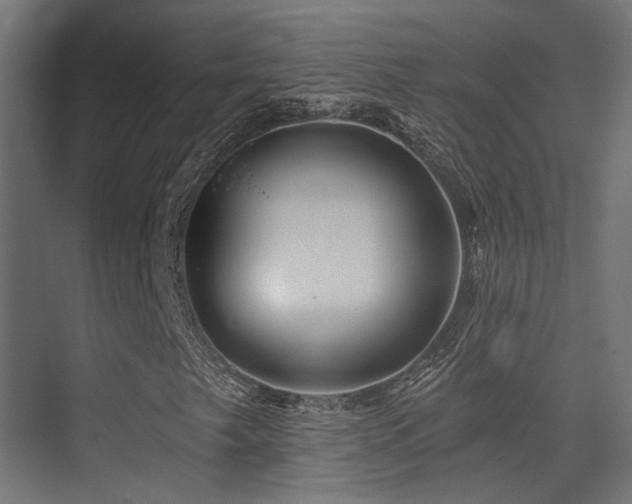 X0000075341249200609081114