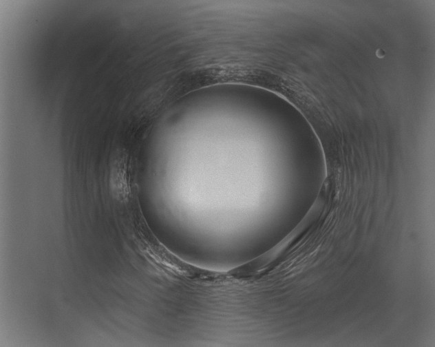 X0000075341250200609081114