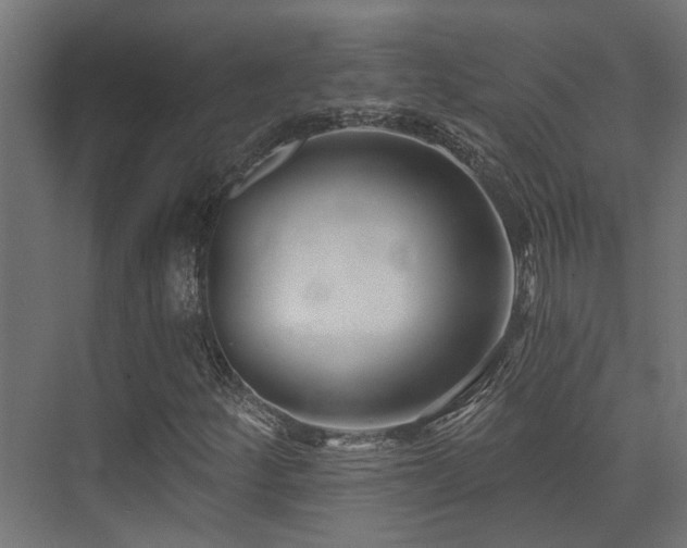 X0000075341252200609081114