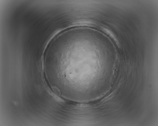 X0000075341275200609081114