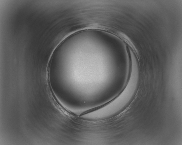 X0000075341292200609081114