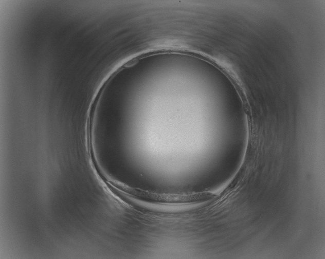 X0000075341295200609081114