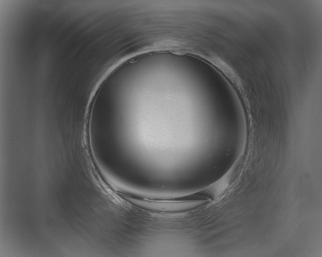 X0000075341296200609081114