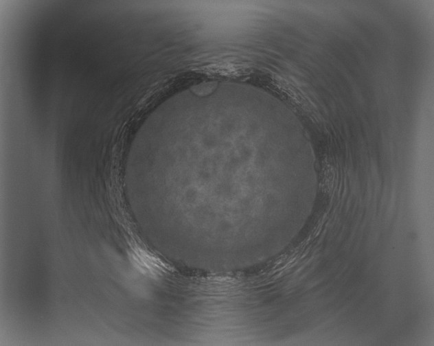 X0000075341297200609081113