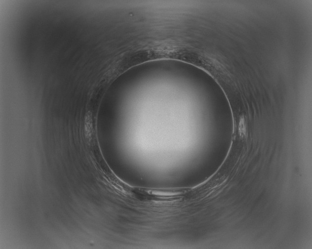 X0000075341299200609081113