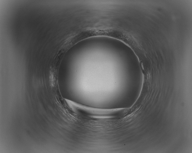 X0000075341300200609081113
