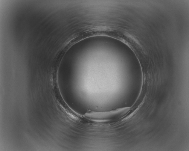X0000075341305200609081113