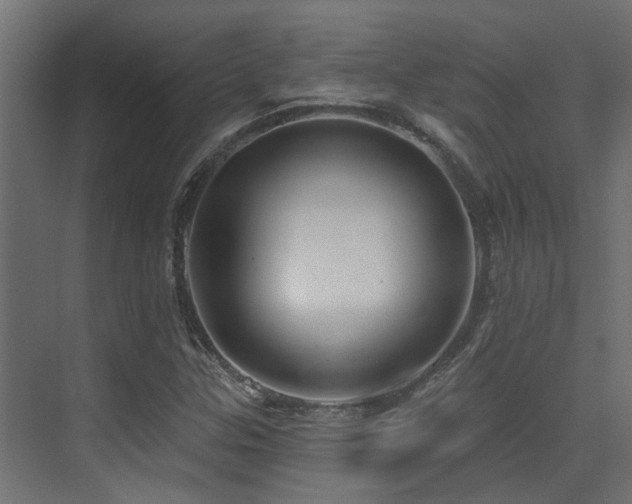 X0000075341307200609081113