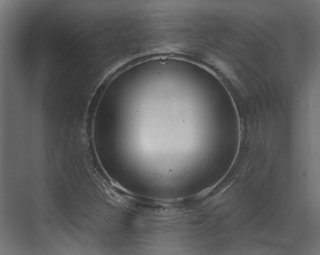 X0000075341308200609081113