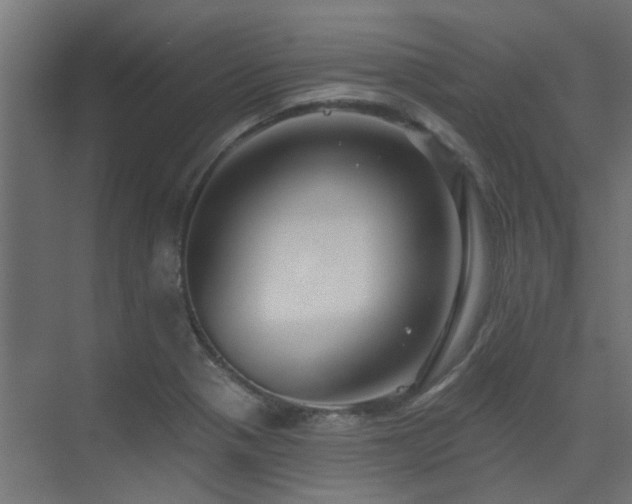 X0000075341321200609081113