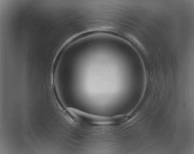 X0000075341324200609081113