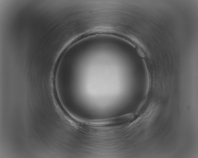 X0000075341325200609081113