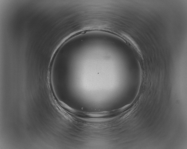 X0000075341340200609081114