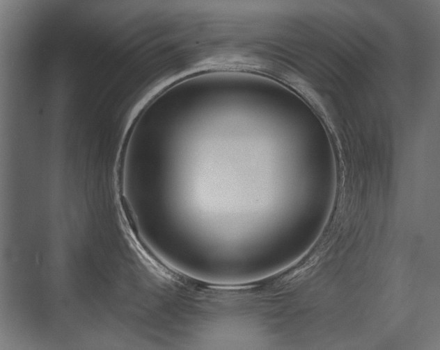 X0000075341344200609081114