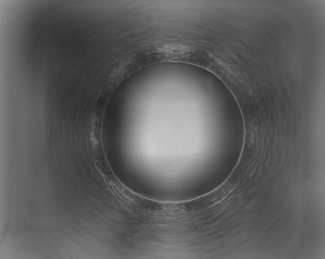 X0000075341346200609081113
