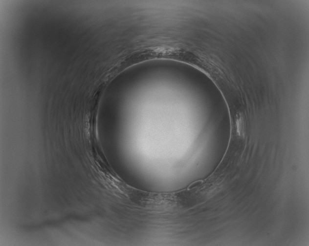 X0000075341347200609081113