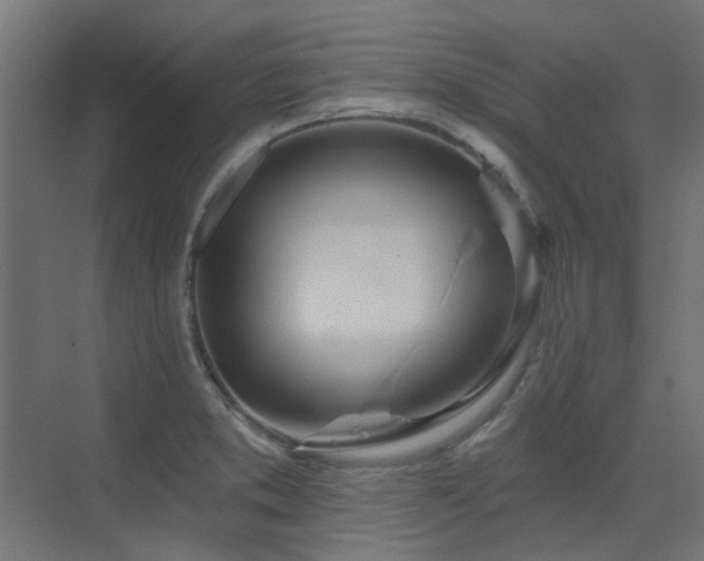 X0000075341373200609081112
