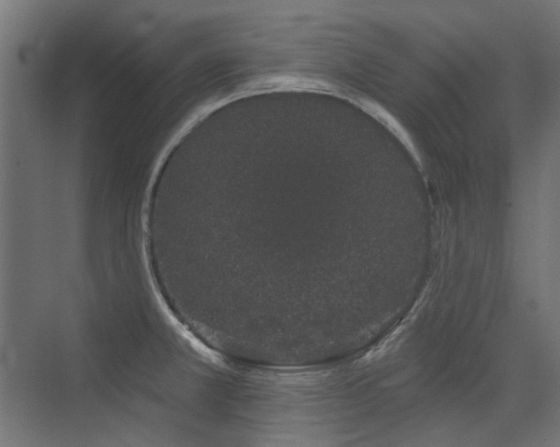X0000075341381200609081112
