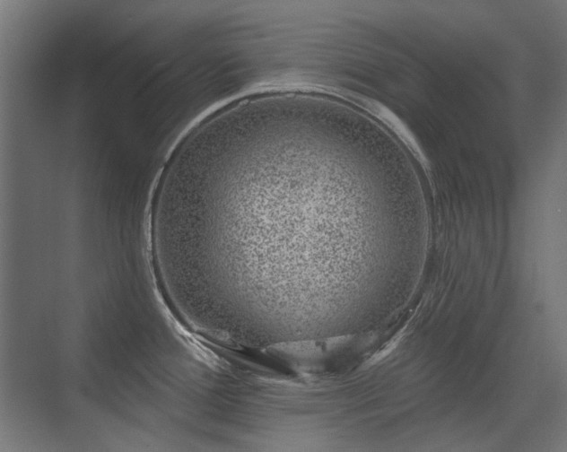 X0000075341388200609081112