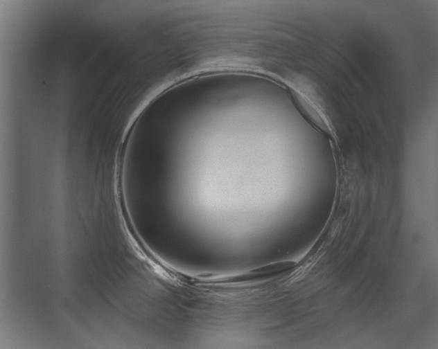 X0000075341390200609081112
