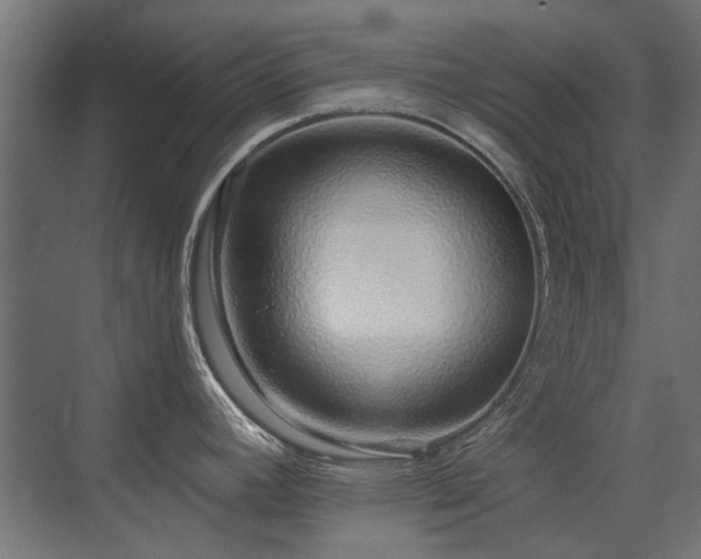 X0000075341392200609081112
