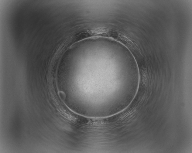 X0000075341393200609081111