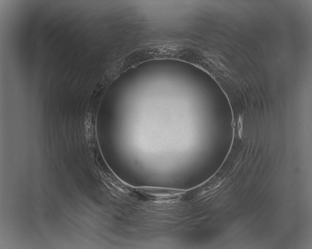 X0000075341395200609081111