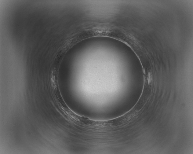 X0000075341396200609081111