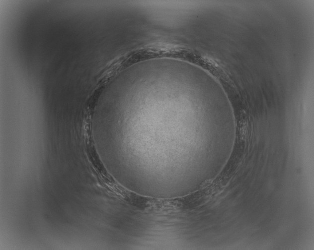 X0000075341397200609081111