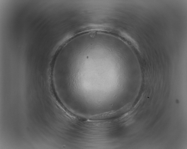 X0000075341411200609081111