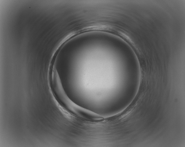 X0000075341426200609081112