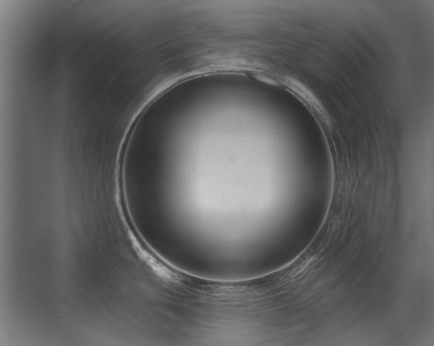 X0000075341439200609081112