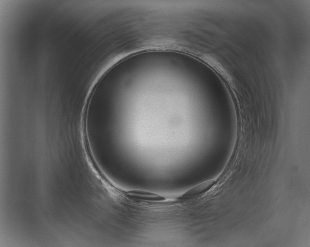 X0000075341440200609081112