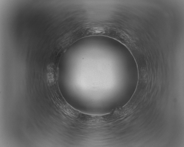 X0000075341442200609081111