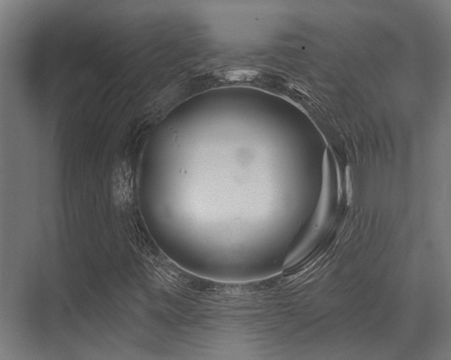 X0000075341443200609081111