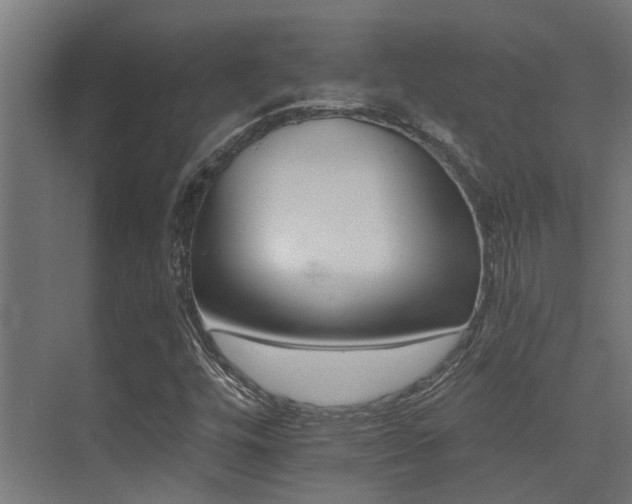 X0000075341448200609081111