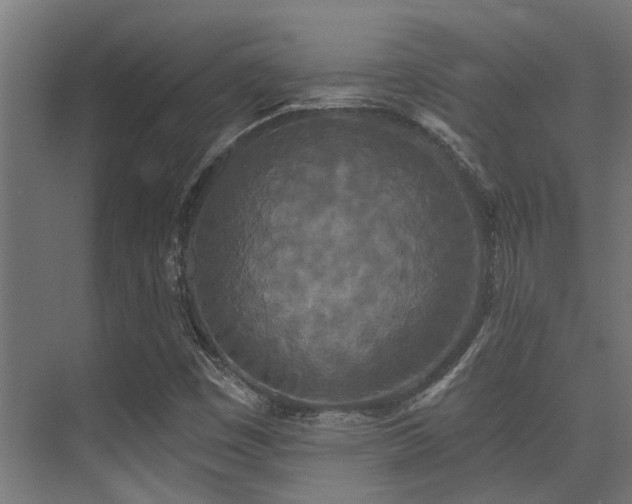 X0000075341449200609081111
