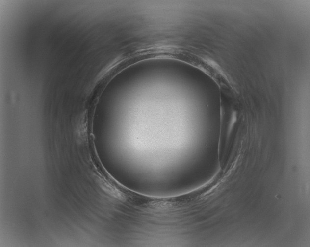 X0000075341450200609081111