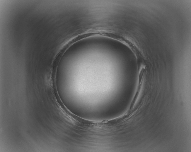 X0000075341452200609081111