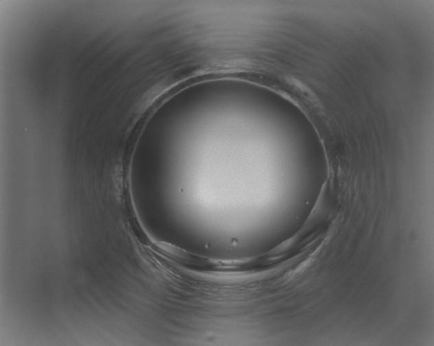 X0000075341457200609081111
