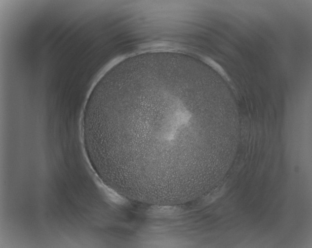 X0000075341474200609081111