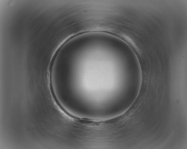 X0000075341476200609081111