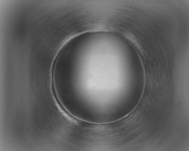 X0000075341479200609081111