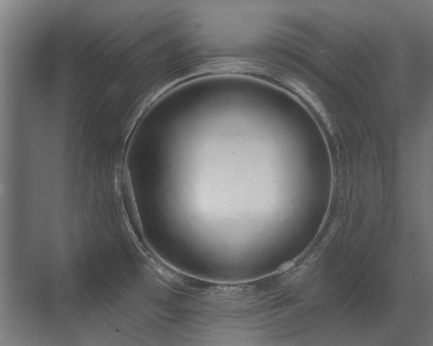X0000075341481200609081110