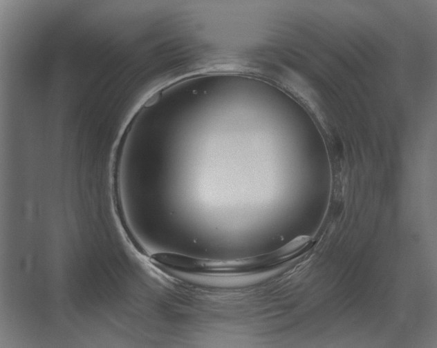 X0000075341483200609081110
