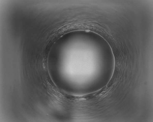 X0000075341490200609081110